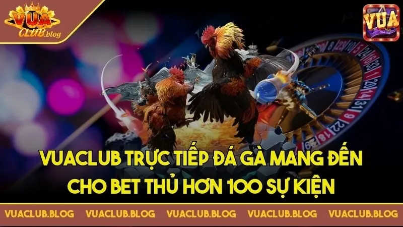 Vuaclub trực tiếp đá gà mang đến cho bet thủ hơn 100 sự kiện Vuaclub trực tiếp đá gà mang đến cho bet thủ hơn 100 sự kiện